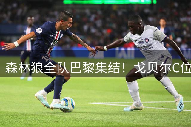 森林狼全队巴黎集结！戈贝尔C位出镜铁塔观光照引热议