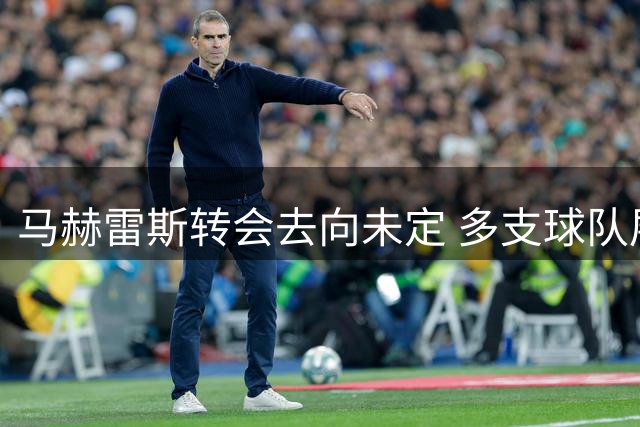 马赫雷斯转会去向未定 多支球队展开追逐
