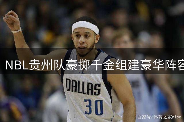 NBL贵州队豪掷千金组建豪华阵容 刘冠岑领衔CBA旧将加盟潮
